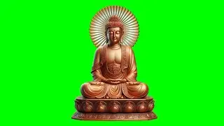 Lord Buddha Green Screen | Ladila screen Dhamal ||