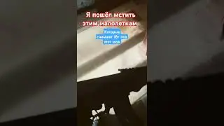 9 июня 2024 г.