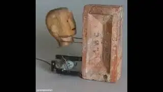 350480262 1413419305867086 7911865900239751029 n