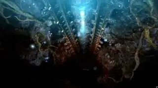Trine 2: Complete Story Episode 20 - Drawven Caverns
