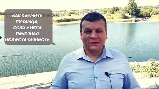 КАК КОРМИТЬ ПИТОМЦА, ЕСЛИ У НЕГО ПОЧЕЧНАЯ НЕДОСТАТОЧНОСТЬ?