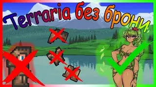 террария без брони