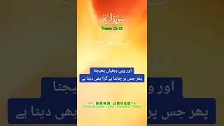 اور وہی بجلیاں بھیجتا پھر جس پر چاہتا ہے گرا بھی دیتا ہے #ranajaved #ranawaleed #islamicshort
