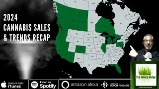 2024 Cannabis Sales & Trends Review