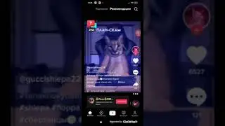 заскамил сам себя