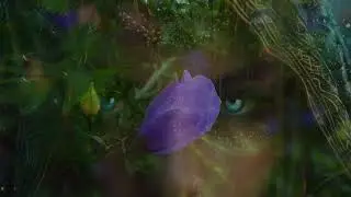 Mystic Dreams