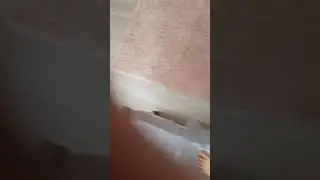 встреча кота и снюсоедика😛😛🐈🐈