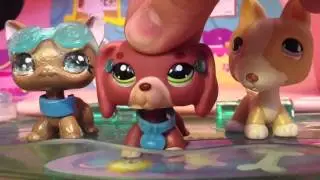 LPS:DARE the candy crew (read DISCRIPTION )