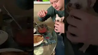 мне нравится есть, больше мне ничего не нравится