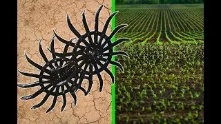 Harrow rotational BRR 6 (Cunning in agrarian and industrial complex) a hoe + MTZ 82