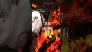 Mortal Kombat -All stages fatalites