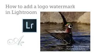 Add a logo watermark in Lightroom