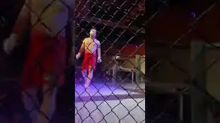 Али Чоршанбиев ворвался в поп-мма🔥