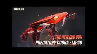 SPINS IN COBRA MP4O