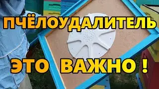 Пчёлоудалитель это важно!