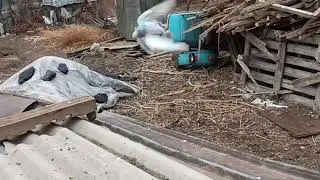 сальто!