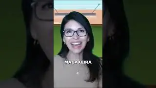 QUAL É O CORRETO: AIPIM, MANDIOCA OU MACAXEIRA?