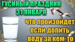 Народный праздник день Афанасия 31 января. Гусиный праздник. Народные традиции и приметы.