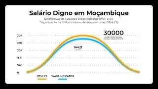 Estimativas de Salário Digno em Moçambique da WageIndicator são Confiáveis | WageIndicator.org