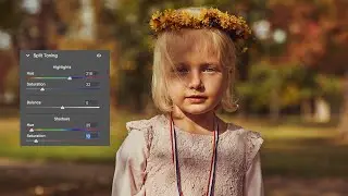 Split Toning Panel in  Camera Raw