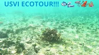 Go visit VI ECOTOUR ST. THOMAS USVI 