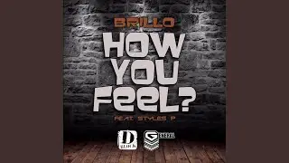 How You Feel (feat. Styles P)