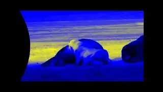 Wildlife in 4ormulator v15
