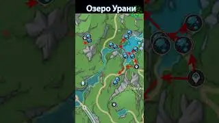Лилия озёрного света Маршрут фарма.Genshin Impact  