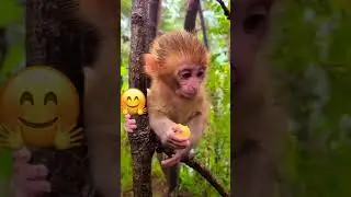 Обед у малыша 🥰 #животные #милота #funny #animals #subscribe