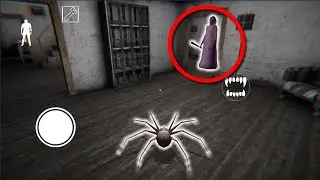 pov: you're a spider 😱