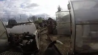 Кеша Питух