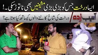 Aisa Darakht Jis ko Koi Bari Machine Bhi Na Gira Saki - Horror Story of Tree - Asaib Zada - 7NewsHD