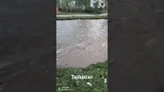 Н. Рашт Д. Белгий