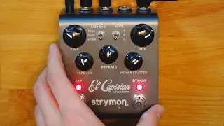 Strymon El Capistan Sound on Sound Looper [FULL Demo]