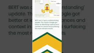 What is Google BERT update in SEO 