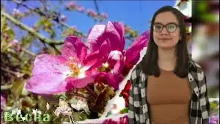 Вітання з 8 Березня від учнів 5-а класу ХСШ ім. В. Г. Короленка