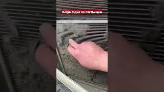 Toyota Альфа чистка радиаторов #lexus #automobile #приус #ремонт #тойота