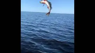 Рыбалка в Весьегонске 21.08.21