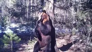Остановите Мише Надо Выйти (Вите надо выйти)
