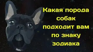 Какая порода собак подходит вам по знаку зодиака