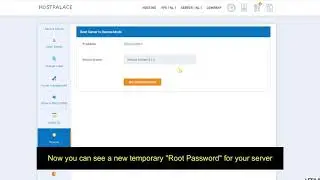 Boot HostPalace Server Into Rescue mode