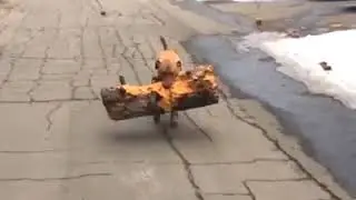 Попробуй не засмеятся😂😂😂