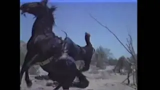 Apaches vs US cavalry 2