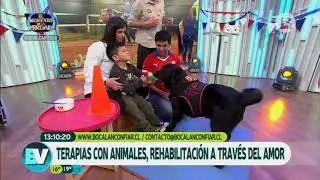 Terapias con animales (Parte 2 ) | BIENVENIDOS
