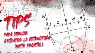 Estructura de rostro frontal (tutorial paso a paso)