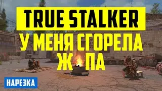 ЧТО НЕ ТАК С TRUE STALKER или как у меня сгорела ж0па пока я бегал туда и обратно по свалке