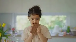 Top 20 Chocolate Brands Every Sweet Tooth Must Try