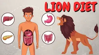The LION DIET: Better Than The CARNIVORE DIET?
