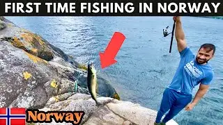 Most Common Thing To Do In Norway | The Muscular Tourist