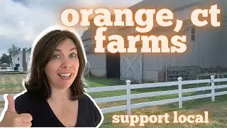 Orange CT Local Farms and Where to Find Them and How to Support Them
